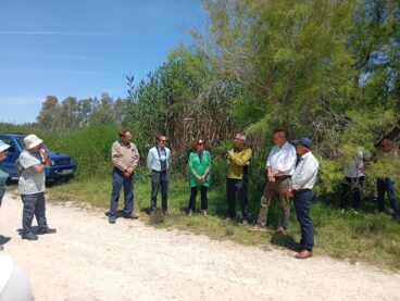La Marjal de Pego-Oliva rinde homenaje a Félix Rodríguez de la Fuente con una morera blanca 2 Grupo de personas de pie en un camino de tierra en un entorno natural durante un evento.