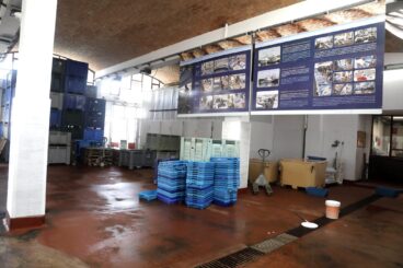 Interior de la lonja de pescado gestionada por cofradías en Xàbia