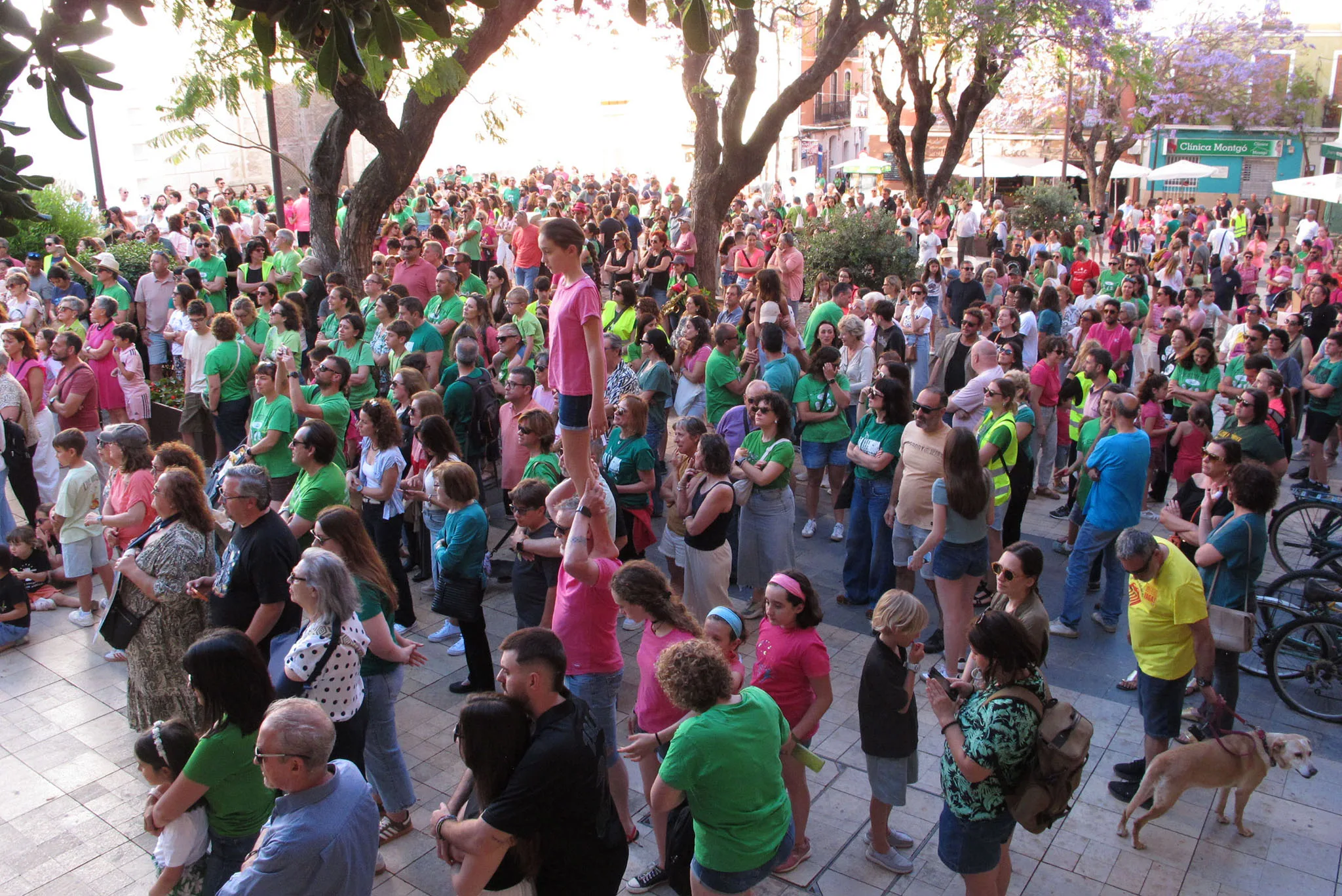 la comunidad educativa de la marina alta en apoyo a los docentes en denia