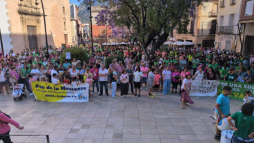 la comunidad educativa de la marina alta toma denia por la educacion publica y en apoyo a la huelga docente