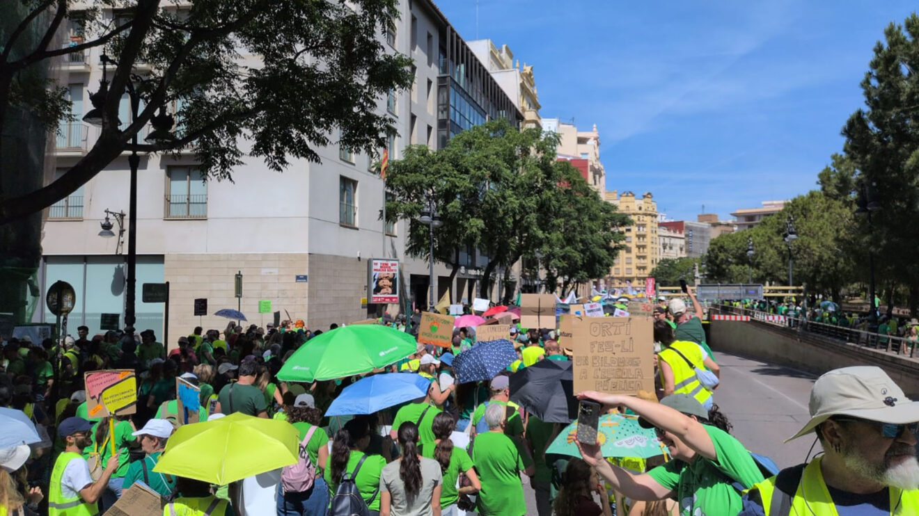Manifestación de docentes en la calle Guillem de Castro de València el 27 de mayo