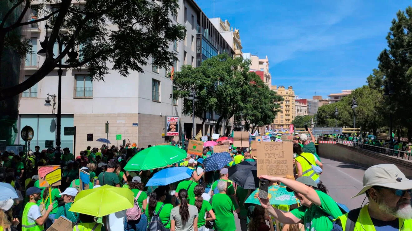 Manifestación de docentes en la calle Guillem de Castro en València el 27 de mayo