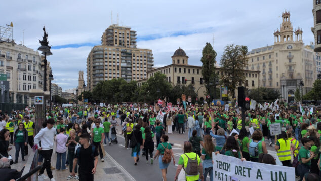 manifestacion en valencia el 5o dia de huelga de docentes 06