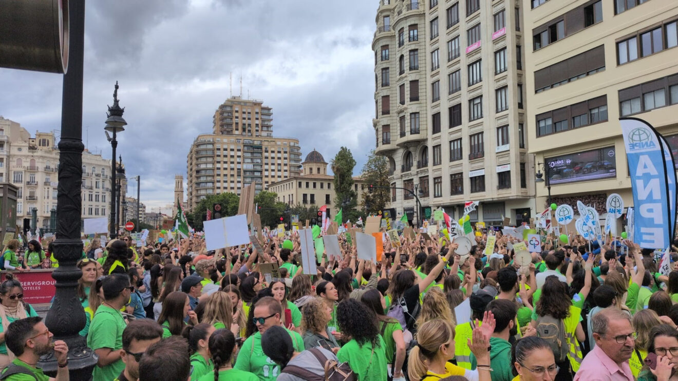 Manifestación en València el 5º día de huelga de docentes 10