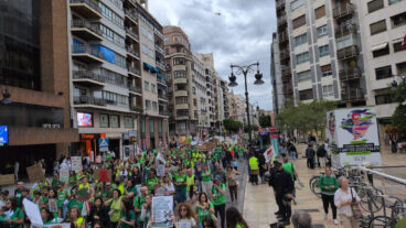 Manifestación en València el 5º día de huelga de docentes 14