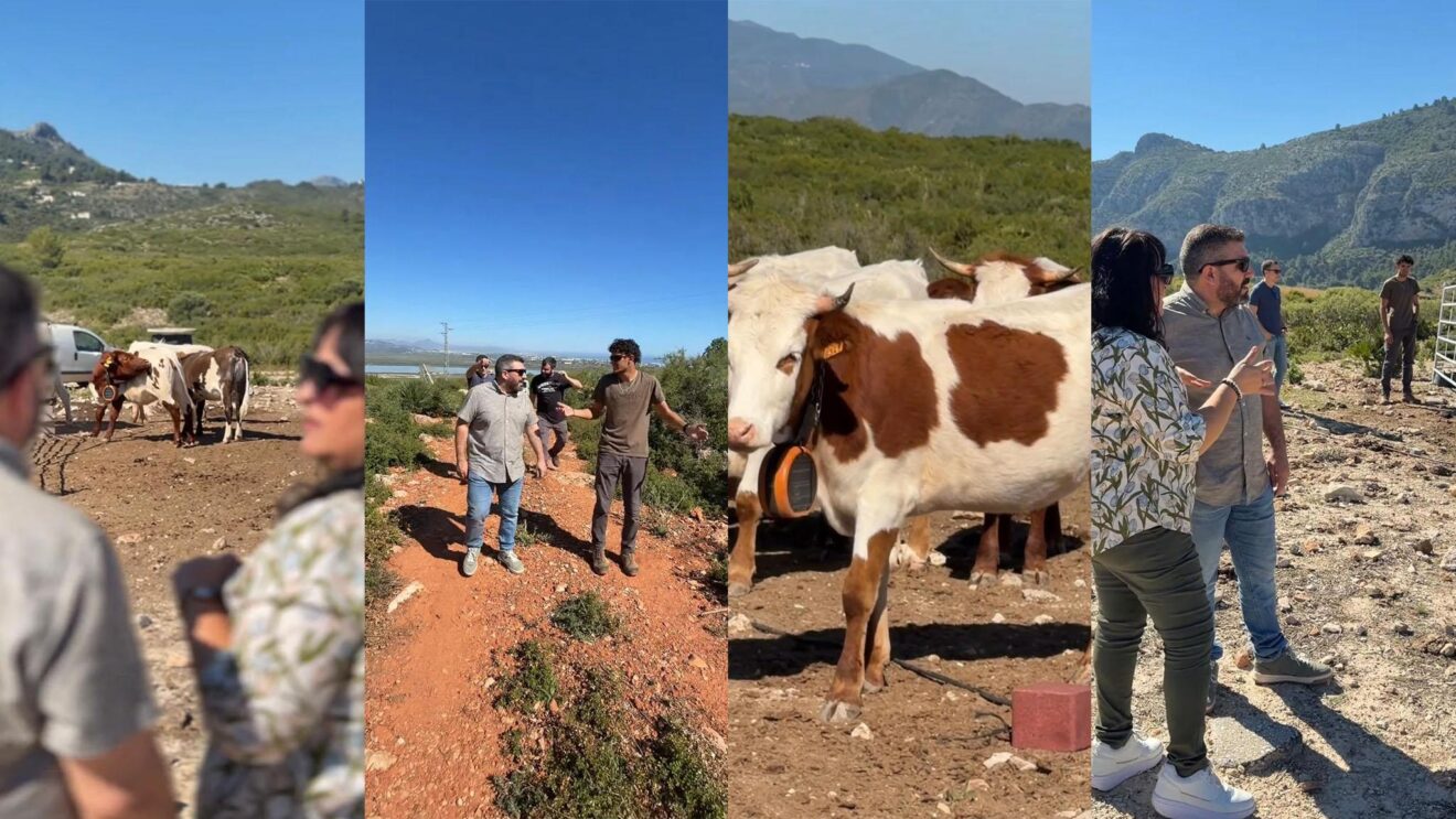 Visita al proyecto de ganadería extensiva de El Verger