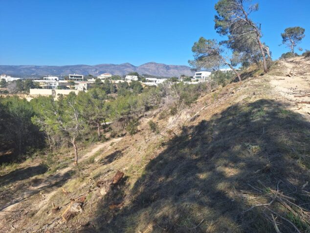 Imagen: Paisaje de la zona de Empedrola en Calp con vegetación forestal aclarada y viviendas al fondo bajo un cielo azul.