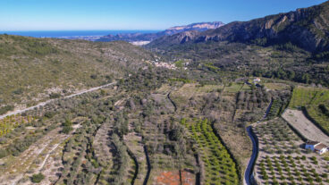 Campos de cultivo camino a Alcalalí