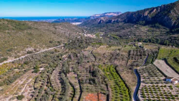 Campos de cultivo camino a Alcalalí
