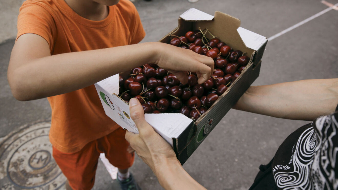 La cereza se paga hasta 25 veces más que la col: los cultivos mejor y peor pagados en la Marina Alta 2 cerezas de la vall de gallinera