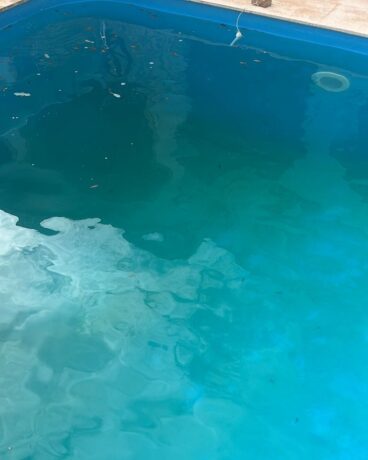 Evita errores al limpiar tu piscina que pueden salirte caros