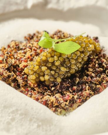 Experiencia gastronómica en el Menú Terra de Nazario Cano