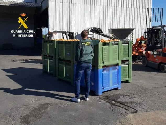 Imagen: Un agente de la Guardia Civil de espaldas inspecciona grandes contenedores llenos de naranjas en un almacén con maquinaria agrícola de fondo.