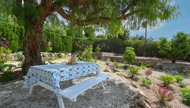 jardin grande lleno de plantas