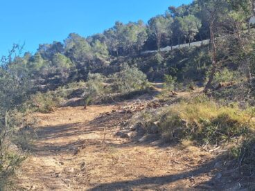 Trabajos de mejora forestal en la Empedrola, Calp