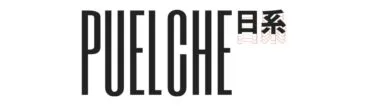 Logo PUELCHE