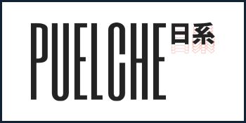 Logo recomendado Puelche