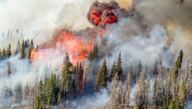 Más de 1.600 efectivos y medios aéreos: el plan de la Generalitat contra los incendios forestales 4 Imagen: Modernización de observatorios forestales