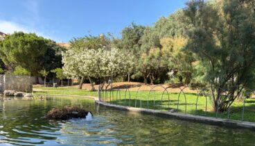 Música, gastronomía local y aforo reducido: llega Festival La Marineta 13 musica naturaleza comodidad y gastronomia