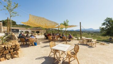 Paisaje de viñedos y riuraus tradicionales donde se ubica el restaurante