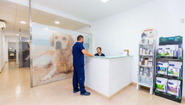 Profesionales que velan por la salud de tus mascotas