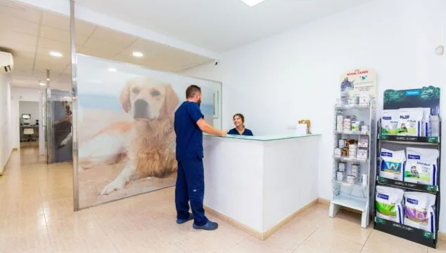 ¿Cómo de preparada está tu mascota para los días más calurosos del año? Consejos para un verano seguro 12 profesionales que velan por la salud de tus mascotas