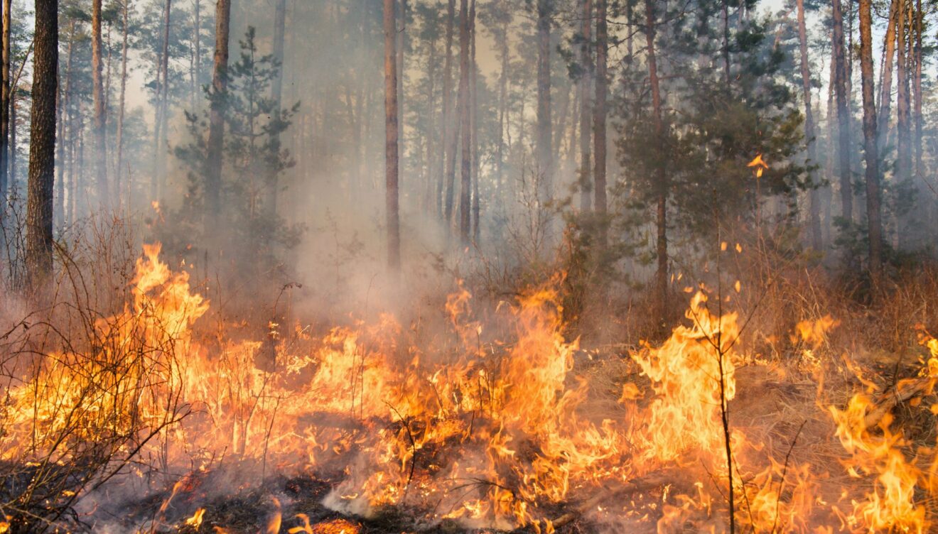 Riesgo de incendio con la subida de las temperaturas