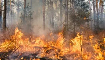 Riesgo de incendio con la subida de las temperaturas