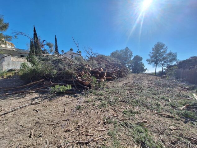 Imagen: Área forestal en Calp con restos de tala y poda tras trabajos de prevención de incendios.
