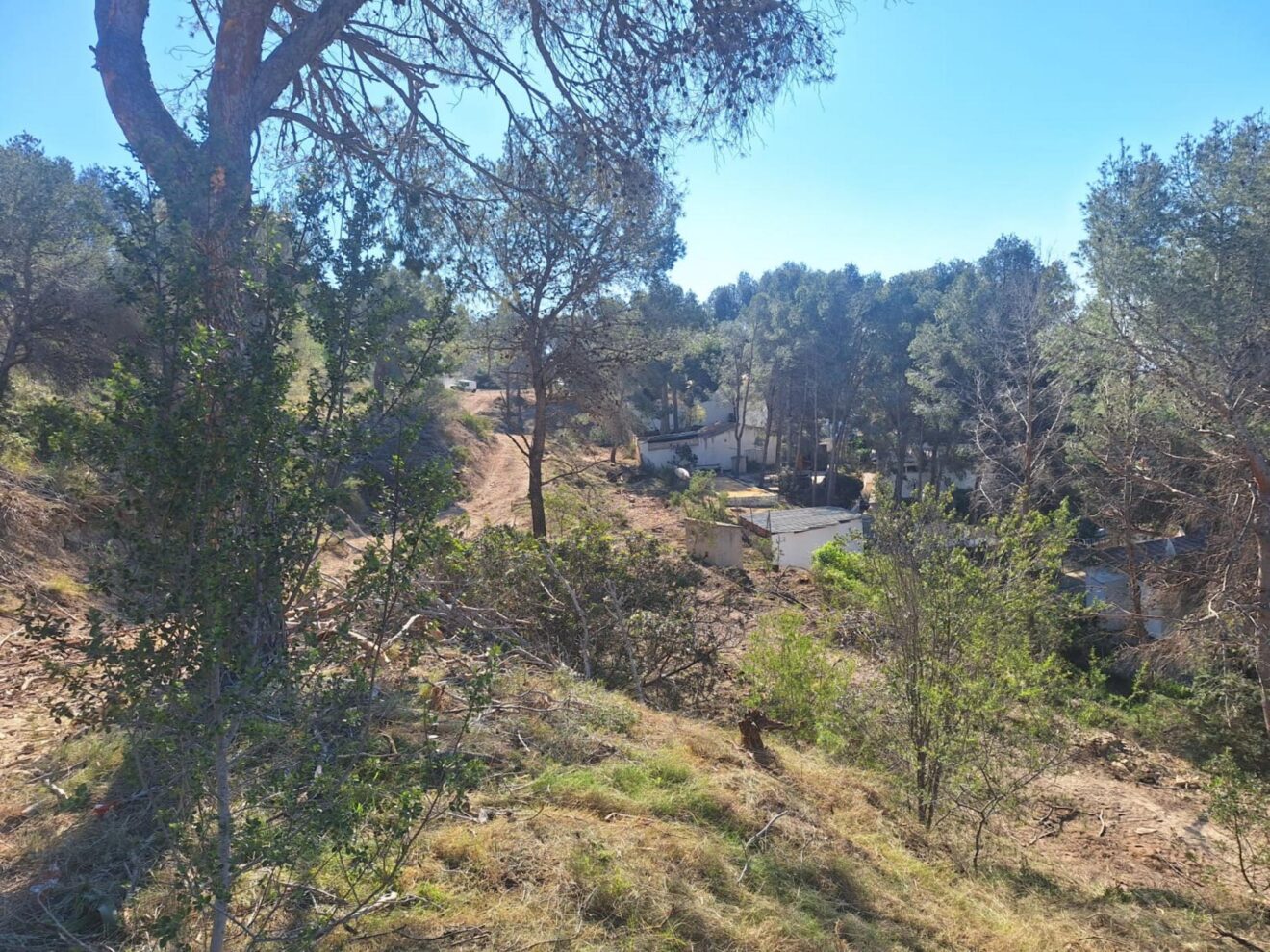 Trabajos de mantenimiento forestal en la Empedrola, Calp