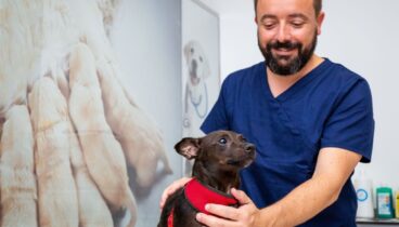 Tu mascota en buenas manos