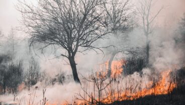 Un operativo coordinado para prevenir incendios forestales