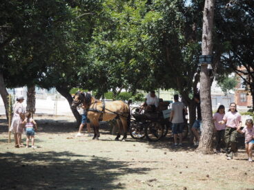 Vibra Els Poblets (29)