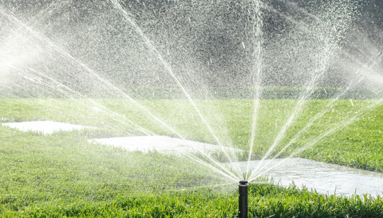 Cómo programar el riego automático en verano sin desperdiciar una sola gota
