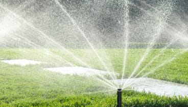 Cómo programar el riego automático en verano sin desperdiciar una sola gota