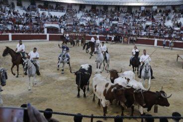 Dia de Sant Jaume de Ondara 2026 100