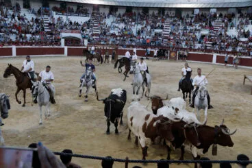 Dia de Sant Jaume de Ondara 2026 100