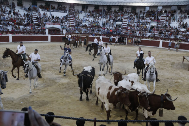 Penyes y quintades de Ondara desafían al calor en un multitudinario Dia de Sant Jaume 101 dia de sant jaume de ondara 2026 100