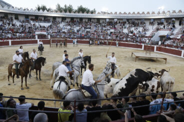 Dia de Sant Jaume de Ondara 2026 101