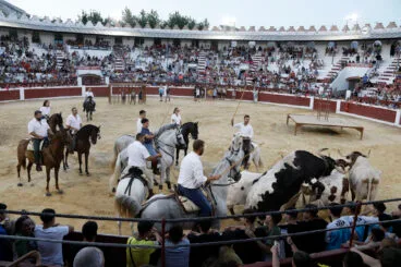 Dia de Sant Jaume de Ondara 2026 101
