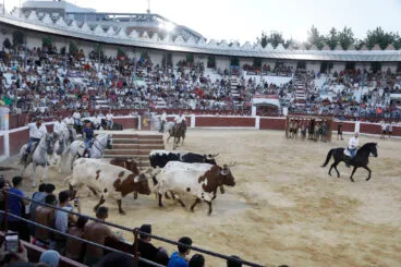 Dia de Sant Jaume de Ondara 2026 102