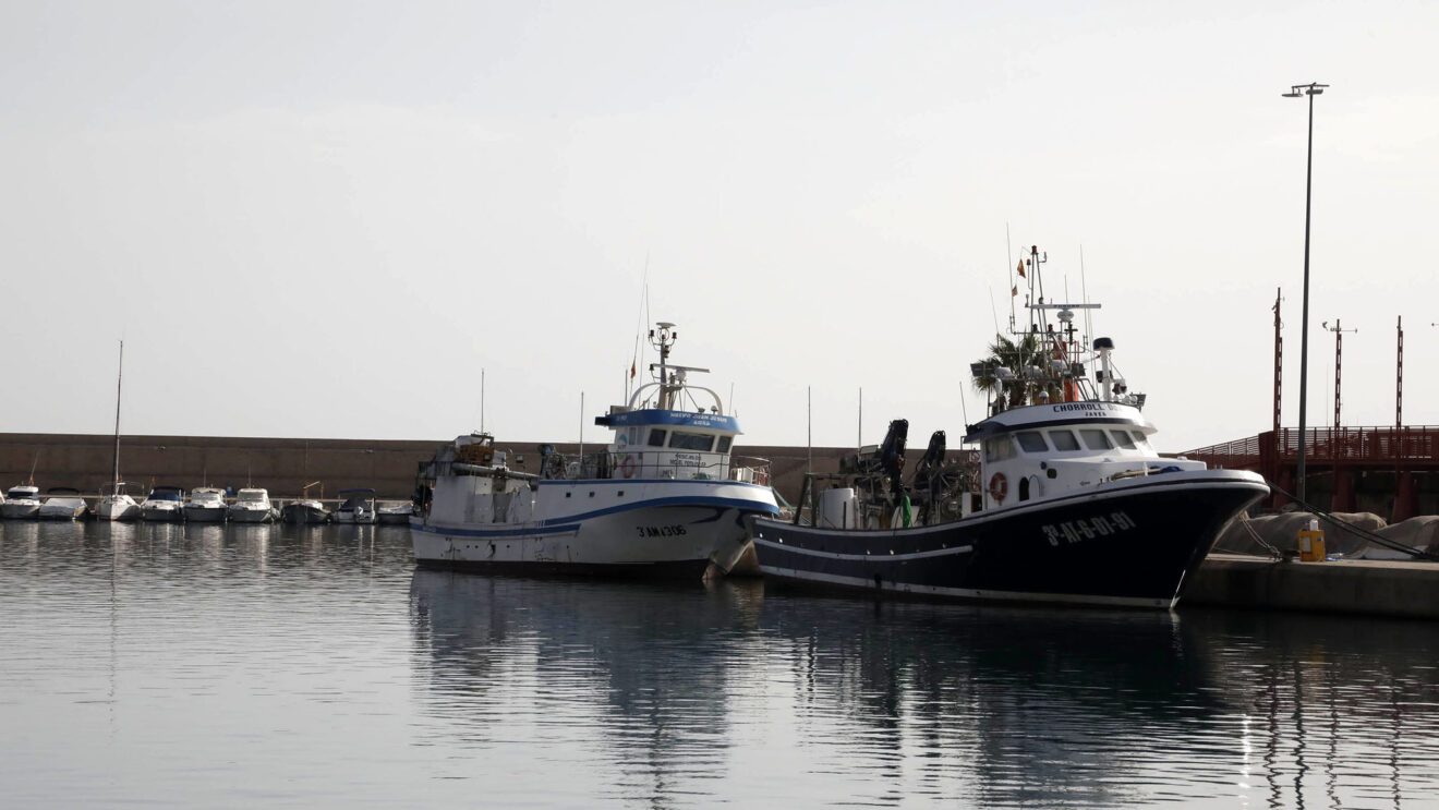 Embarcaciones en el puerto de Xàbia (archivo)