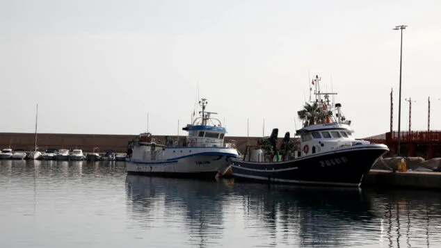 Europa impulsa el sector pesquero en la Marina Alta: Xàbia, Calp y Moraira modernizarán sus puertos 1 Imagen: Embarcaciones en el puerto de Xàbia (archivo)