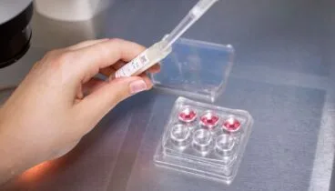 Este proceso destaca por su alta efectividad