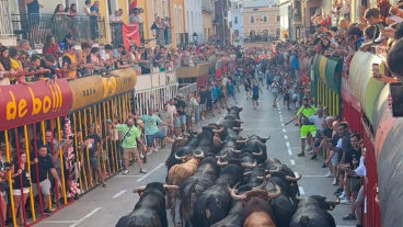 Festejos taurinos en Orba