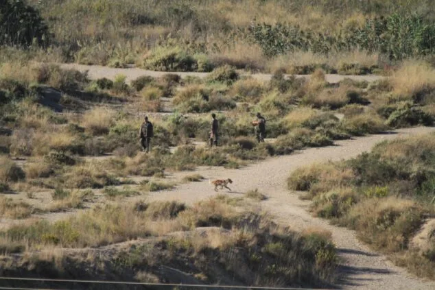 «El conflicto entre la fauna silvestre y el campo necesita un nuevo enfoque» 4 Imagen: Tres personas equipadas para la caza, acompañadas por un perro, avanzan por un camino entre matorral y vegetación.