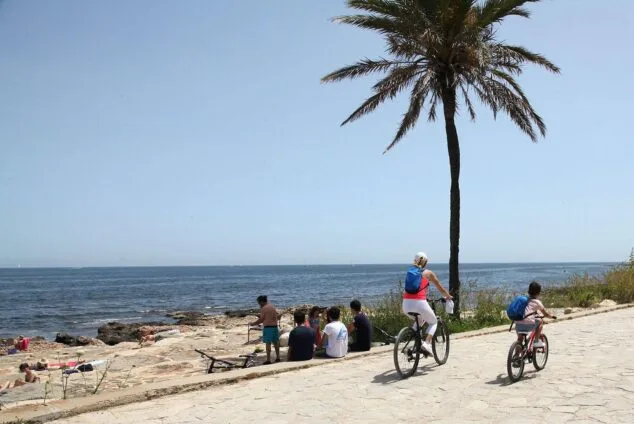 Image: Two people cycling along a seafront promenade with a palm tree, and a group of people sitting on rocks by the sea on a sunny day.