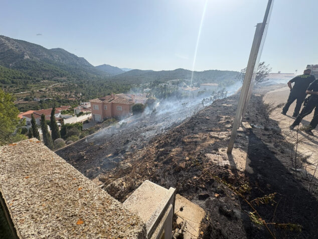 Imagen: Parcela calcinada en Pedreguer