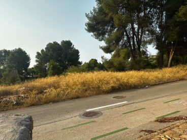 Parcela municipal con vegetación seca y riesgo de incendio en Teulada-Moraira