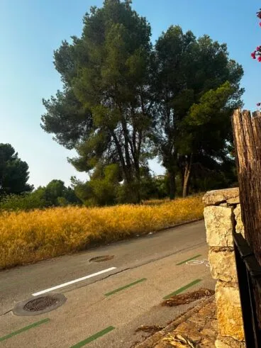 Parcela municipal con riesgo de incendio en Teulada-Moraira
